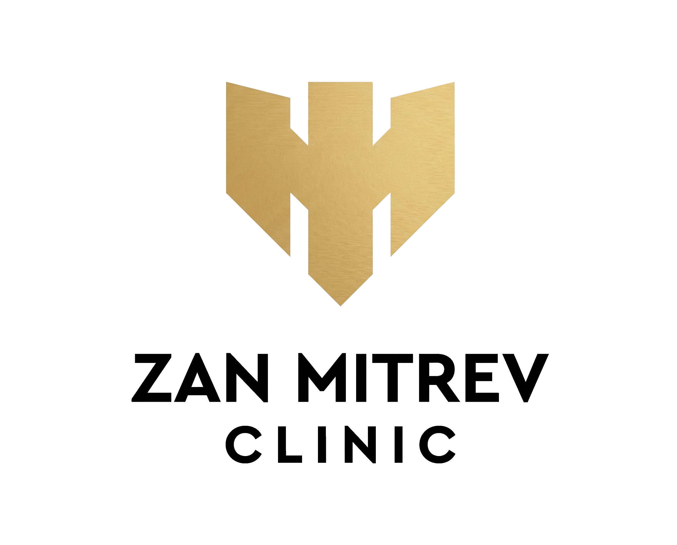 ZanMitrev_Logo.png